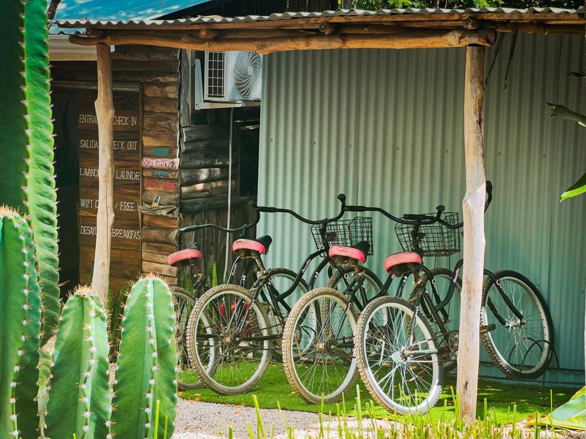 Glamping Hotel Flor Y Bambu プラヤ・グランデ エクステリア 写真