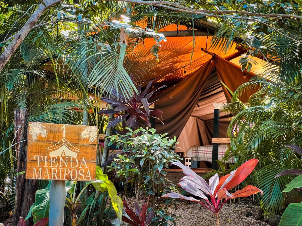 Glamping Hotel Flor Y Bambu プラヤ・グランデ エクステリア 写真
