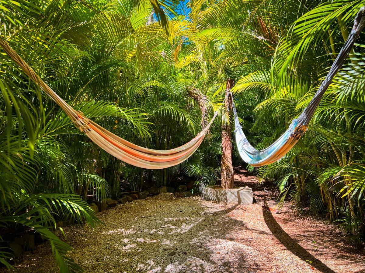 Glamping Hotel Flor Y Bambu プラヤ・グランデ エクステリア 写真