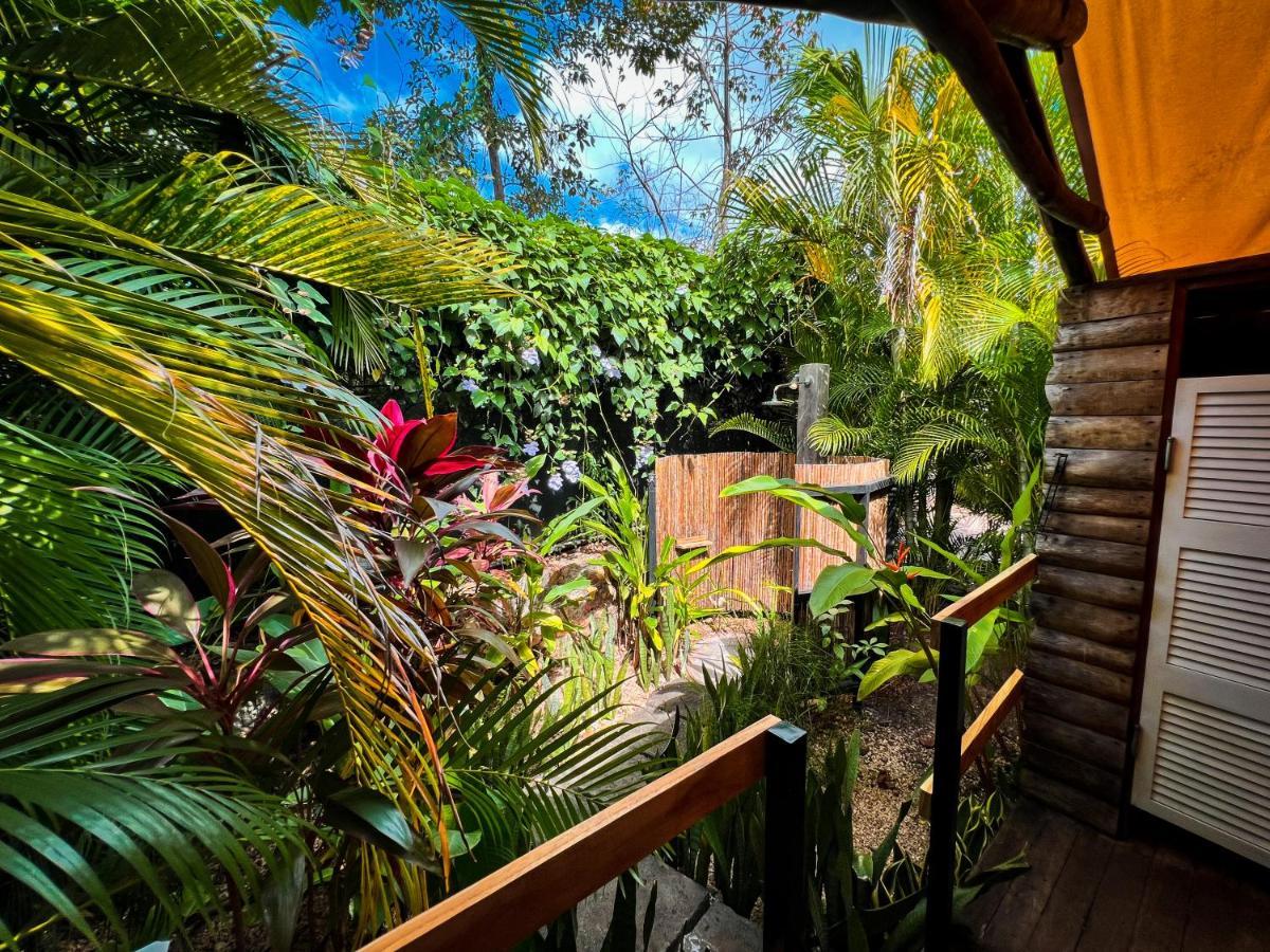 Glamping Hotel Flor Y Bambu プラヤ・グランデ エクステリア 写真
