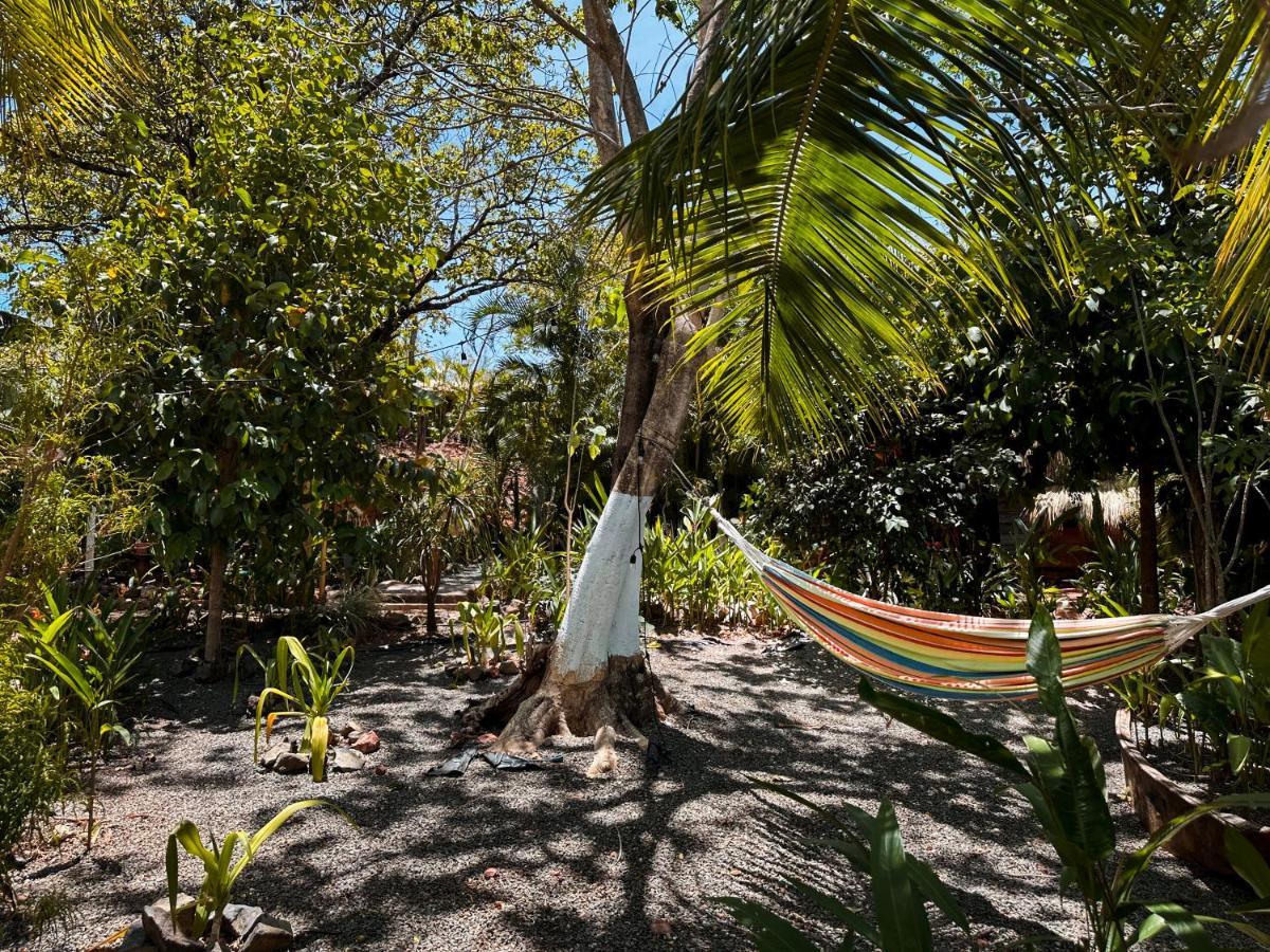 Glamping Hotel Flor Y Bambu プラヤ・グランデ エクステリア 写真