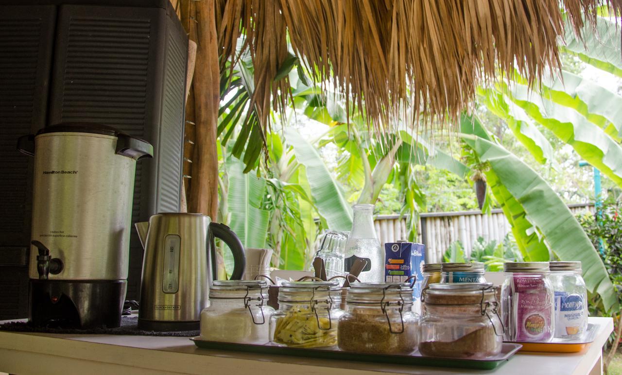 Glamping Hotel Flor Y Bambu プラヤ・グランデ エクステリア 写真