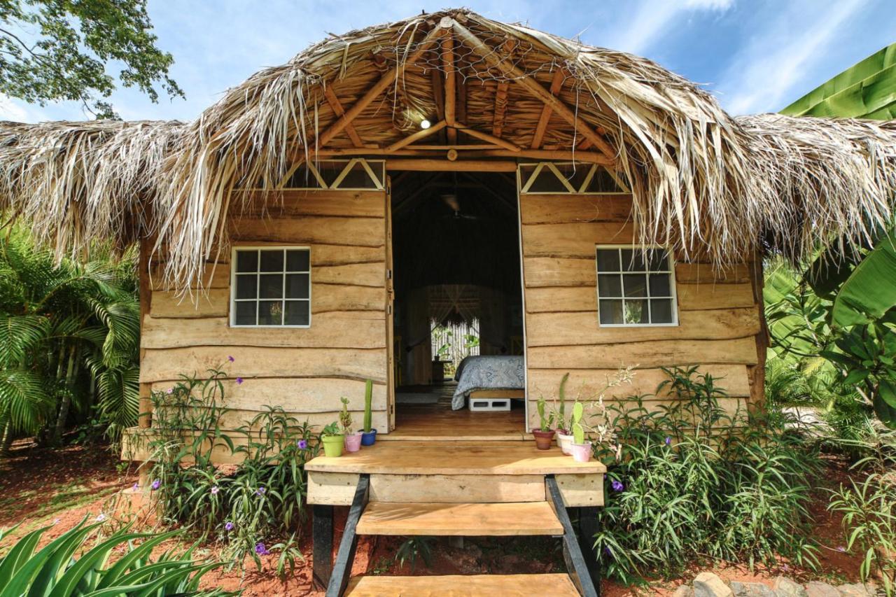 Glamping Hotel Flor Y Bambu プラヤ・グランデ エクステリア 写真